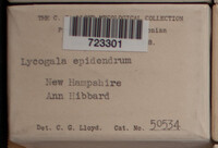 Image Associated With the Occurence